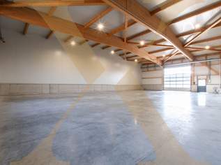 Neuwertige & beheizte Lager- oder Gewerbehalle mit Rolltor in Arbing (Bezirk Perg) zu vermieten!, 2297.5 €, Immobilien-Gewerbeobjekte in 4341 Arbing Neuwertige & beheizte Lager- oder Gewerbehalle mit Rolltor in Arbing (Bezirk Perg) zu vermieten!, 2297.5 €, Immobilien-Gewerbeobjekte in 4341 Arbing