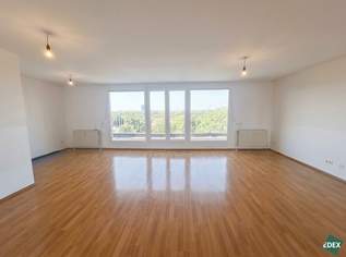 Schöne 4-Zimmer-Maisonette-Wohnung mit Balkon und Terrasse direkt an der Donau, 2499 €, Immobilien-Wohnungen in 1220 Donaustadt Schöne 4-Zimmer-Maisonette-Wohnung mit Balkon und Terrasse direkt an der Donau, 2499 €, Immobilien-Wohnungen in 1220 Donaustadt