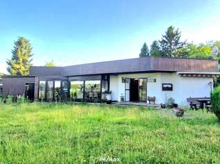 DOPPELGRUNDSTÜCK am See, 75000 €, Immobilien-Häuser in 7035 Steinbrunn DOPPELGRUNDSTÜCK am See, 75000 €, Immobilien-Häuser in 7035 Steinbrunn