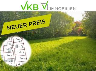 Ruhig gelegenes Grundstück in nähe Gallneukirchen – Gemeinde Alberndorf in der Riedmark (GST 2460/9), 180000 €, Immobilien-Grund und Boden in 4211 Spattendorf Ruhig gelegenes Grundstück in nähe Gallneukirchen – Gemeinde Alberndorf in der Riedmark (GST 2460/9), 180000 €, Immobilien-Grund und Boden in 4211 Spattendorf
