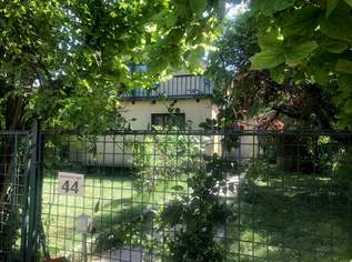 "Lebensqualität pur – mit viel Natur, Privatsphäre und Landleben.", 450000 €, Immobilien-Häuser in 2301 Matzneusiedl "Lebensqualität pur – mit viel Natur, Privatsphäre und Landleben.", 450000 €, Immobilien-Häuser in 2301 Matzneusiedl