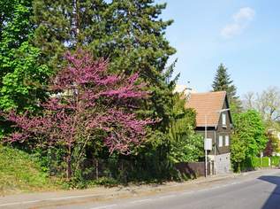 Baugrund mit Altbestand in Hietzing Nähe St. Josef Krankenhaus, 550000 €, Immobilien-Grund und Boden in 1130 Hietzing