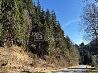 Waldgrundstück in der Marktgemeinde Hüttenberg, 9000 €, Immobilien-Gewerbeobjekte in 9375 Hüttenberg