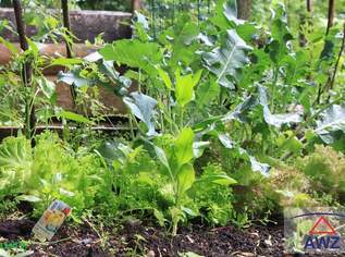 Projekt Naturgärten !, 0 €, Immobilien-Grund und Boden in 5251 Höhnhart Projekt Naturgärten !, 0 €, Immobilien-Grund und Boden in 5251 Höhnhart