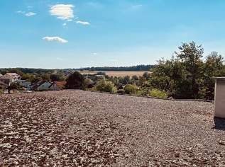 Traumhaftes Grundstück mit Projekt! Ca. 1800 m2!, 450000 €, Immobilien-Häuser in 4622 Eggendorf im Traunkreis