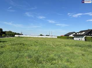 Bauträgergrundstück mit vorhandenem Bebauungsplan in guter Lage - Kaindorf- Leibnitz Nähe, 1236000 €, Immobilien-Grund und Boden in 8430 Kaindorf an der Sulm