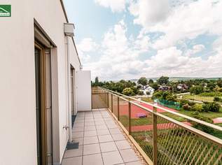 Investoren aufgepasst (Nettopreis) - Traumhafte 2.Zimmer mit Balkon im Grünen - Provisionsfreier Neubau im "Hirschfeld - naturnah wohnen", 242000 €, Immobilien-Wohnungen in 1210 Floridsdorf