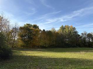 Idylisches Baugrundstück im Grünen, 70445 €, Immobilien-Grund und Boden in 4942 Gurten