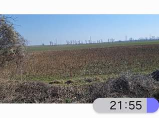 Hausverkauf, 3300000 €, Immobilien-Häuser in 1220 Donaustadt