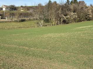 SONNIGE LEBENSQUALITÄT AM LAND FÜR IHR PRIVATES EINFAMILIENHAUS OHNE BAUZWANG, 87620 €, Immobilien-Grund und Boden in 3701 Ameistal SONNIGE LEBENSQUALITÄT AM LAND FÜR IHR PRIVATES EINFAMILIENHAUS OHNE BAUZWANG, 87620 €, Immobilien-Grund und Boden in 3701 Ameistal