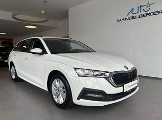 Octavia 2.0 TDI DPF Business (EURO 6d-TEMP), 14950 €, Auto & Fahrrad-Autos in 5165 Berndorf bei Salzburg Octavia 2.0 TDI DPF Business (EURO 6d-TEMP), 14950 €, Auto & Fahrrad-Autos in 5165 Berndorf bei Salzburg