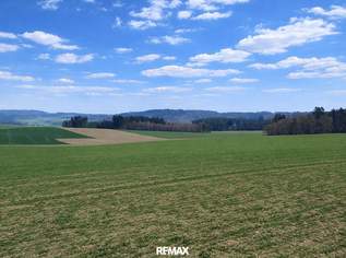 Liegenschaft mit ca. 20 ha landwirtschaftliche Nutzflächen, 0 €, Immobilien-Gewerbeobjekte in 4762 Sankt Willibald