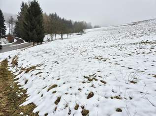 WIESEN Teil 2, 50000 €, Immobilien-Grund und Boden in 3233 Kettenreith