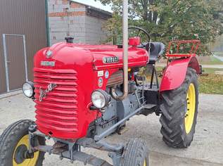 Steyr Traktor T182, 7900 €, Auto & Fahrrad-Traktoren & Nutzfahrzeuge in 2163 Gemeinde Ottenthal