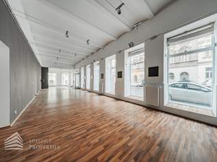 Elegantes Büro mit Galerie im 7. Wiener Gemeindebezirk, 4361.86 €, Immobilien-Gewerbeobjekte in 1070 Neubau