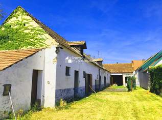 Burgenländischer Streckhof im Original -am Neusiedlersee, 198000 €, Immobilien-Häuser in 7091 Gemeinde Breitenbrunn