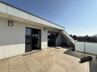 Wunderschönes Penthouse in Ruhelage, 3800 €, Immobilien-Wohnungen in 1220 Donaustadt