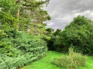 Baugrundstück in absoluter Ruhelage -Die Sensation!, 345000 €, Immobilien-Grund und Boden in 2432 Gemeinde Schwadorf