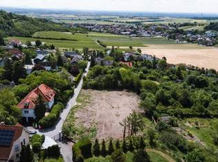 "südseitig am Veigelberg!", 1999998 €, Immobilien-Grund und Boden in 2102 Flandorf "südseitig am Veigelberg!", 1999998 €, Immobilien-Grund und Boden in 2102 Flandorf