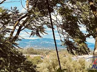 Altbaujuwel mit besonderem Charme, großem Grundstück und mit toller Aussicht!, 0 €, Immobilien-Häuser in 4053 Ansfelden Altbaujuwel mit besonderem Charme, großem Grundstück und mit toller Aussicht!, 0 €, Immobilien-Häuser in 4053 Ansfelden