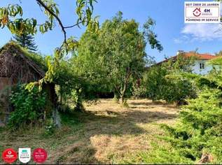 Exklusives-Baugrundstück mit Top-Potenzial – Investieren Sie in Ihre Zukunft!, 700000 €, Immobilien-Grund und Boden in 2000 Gemeinde Stockerau Exklusives-Baugrundstück mit Top-Potenzial – Investieren Sie in Ihre Zukunft!, 700000 €, Immobilien-Grund und Boden in 2000 Gemeinde Stockerau