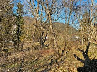 Baugrund in Lehenrotte/Türnitz an der Via Sacra - Nähe Lilienfeld, 55000 €, Immobilien-Grund und Boden in 3184 Lehenrotte
