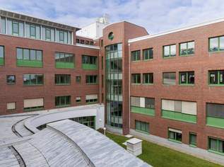 Büroflächen im 3. Liftstock, 7324.32 €, Immobilien-Gewerbeobjekte in 1220 Donaustadt