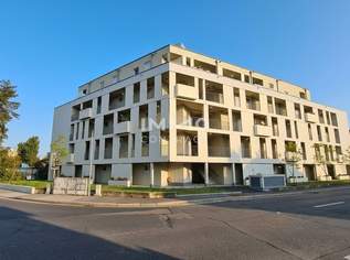 Parkplätze in der Augasse 94 zu vermieten, 55.2 €, Immobilien-Kleinobjekte & WGs in 8051 Parkplätze in der Augasse 94 zu vermieten, 55.2 €, Immobilien-Kleinobjekte & WGs in 8051