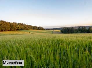 Forst-, Landwirtschafts- und Wegflächen + provisionsfrei +, 95000 €, Immobilien-Grund und Boden in 5723 Uttendorf