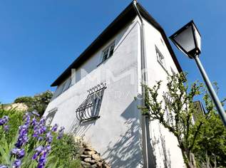 WACHAU - YOUR silent PLACE Besichtigung 20.6.12:30h n.Voranmeldung, 0 €, Immobilien-Häuser in 3601 Gemeinde Dürnstein WACHAU - YOUR silent PLACE Besichtigung 20.6.12:30h n.Voranmeldung, 0 €, Immobilien-Häuser in 3601 Gemeinde Dürnstein