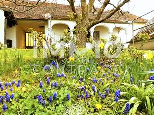 Hübscher Arkadenhof, idyllischer Garten - Umgeben von Weinbergen und dem beliebten Geschriebenstein, 128000 €, Immobilien-Häuser in 7471 Rechnitz