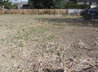 "Grund genug!", 234000 €, Immobilien-Grund und Boden in 3433 Gemeinde Königstetten