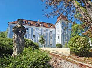Schlossherr:in gesucht - elegante Schlosswohnung mit Turmzimmer zu verkaufen!, 285000 €, Immobilien-Wohnungen in 4600 Wels