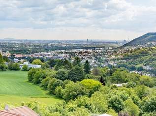 Toplage am Ölberg in Klosterneuburg / Wien- + Stiftsblick, 769000 €, Immobilien-Grund und Boden in 3400 Gemeinde Klosterneuburg
