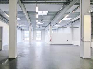 Lagerhalle 750 m2 südlich von Wien, in Wr. Neudorf, 7200 €, Immobilien-Gewerbeobjekte in 2351 Gemeinde Wiener Neudorf