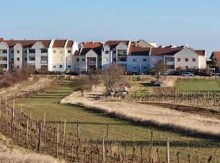 Großzügige Familienwohnung in der Storchenstadt Rust am See, 295000 €, Immobilien-Wohnungen in 7071 Rust Großzügige Familienwohnung in der Storchenstadt Rust am See, 295000 €, Immobilien-Wohnungen in 7071 Rust