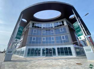 Moderne Büroflächen in Wiener Neudorf, 2640.6 €, Immobilien-Gewerbeobjekte in 2351 Gemeinde Wiener Neudorf