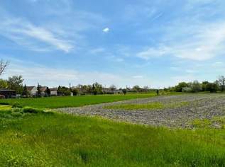 Bau- und Freizeitgrundstücke in UNGARN neben der Grenze | Bis zu 9.285 m2 erweiterbar! | Natur pur in der UNESCO-Kulturlandschaft Fertő-Neusiedler See!, 71850 €, Immobilien-Grund und Boden in 7152 Pamhagen