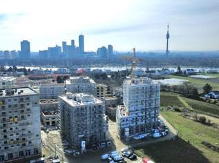 Der Beste Platz im Viertel - An der Schanze 25 - Begehrtes Wohnprojekt nahe Obere Alte Donau - Auf Eigengrund, 295000 €, Immobilien-Wohnungen in 1210 Floridsdorf Der Beste Platz im Viertel - An der Schanze 25 - Begehrtes Wohnprojekt nahe Obere Alte Donau - Auf Eigengrund, 295000 €, Immobilien-Wohnungen in 1210 Floridsdorf