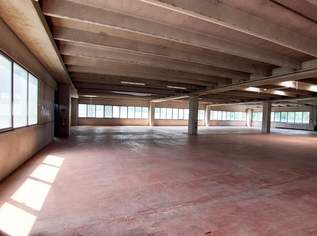 Lagerhalle mit Bürooption in verkehrsgünstiger Lage in Salzburg mieten, 7500 €, Immobilien-Gewerbeobjekte in 5020 Salzburg Lagerhalle mit Bürooption in verkehrsgünstiger Lage in Salzburg mieten, 7500 €, Immobilien-Gewerbeobjekte in 5020 Salzburg
