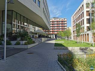 Fabrik1230 – Alte Substanz. Neue Perspektiven., 1430.89 €, Immobilien-Gewerbeobjekte in 1230 Liesing Fabrik1230 – Alte Substanz. Neue Perspektiven., 1430.89 €, Immobilien-Gewerbeobjekte in 1230 Liesing