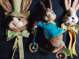 JUCHHEISSA, HAB' DEN OSTERHAS'N GESEHEN !!