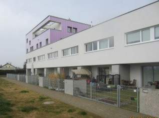 Wohnung in 1220 Wien, Pfalzgasse 37 mit einem Monat mietfrei zur Selbstsanierung, 753.16 €, Immobilien-Wohnungen in 1220 Donaustadt