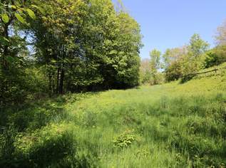 Ihr Traum vom Eigenheim - attraktives Grundstück in beliebter Lage., 450000 €, Immobilien-Grund und Boden in 4600 Thalheim bei Wels Ihr Traum vom Eigenheim - attraktives Grundstück in beliebter Lage., 450000 €, Immobilien-Grund und Boden in 4600 Thalheim bei Wels