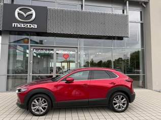 CX-30 e-Skyactive G140 Takumi Aut., 33900 €, Auto & Fahrrad-Autos in 8344 Bad Gleichenberg