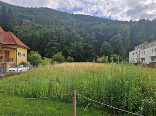 EINE SELTENE GELEGENHEIT: BAUGRUNDSTÜCK MIT EIGENEM WALD MIT HERRLICHEM AUSBLICK DIREKT AM WASSER, 115000 €, Immobilien-Grund und Boden in 3541 Gemeinde Senftenberg EINE SELTENE GELEGENHEIT: BAUGRUNDSTÜCK MIT EIGENEM WALD MIT HERRLICHEM AUSBLICK DIREKT AM WASSER, 115000 €, Immobilien-Grund und Boden in 3541 Gemeinde Senftenberg