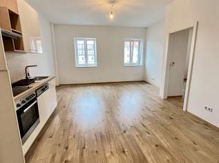 Neuer DG-Ausbau in schönem Altbau, 1045 €, Immobilien-Wohnungen in 1020 Leopoldstadt
