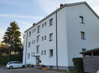 Zinshaus Wilhering, 1700000 €, Immobilien-Gewerbeobjekte in 4073 Wilhering Zinshaus Wilhering, 1700000 €, Immobilien-Gewerbeobjekte in 4073 Wilhering