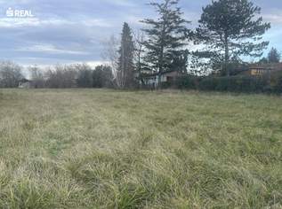 Natur pur: Ihr Rückzugsort am idyllischen Zicksee, 235000 €, Immobilien-Grund und Boden in 7143 Apetlon
