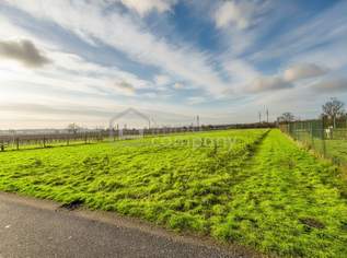 Grundstück, derzeit mit Sportwidmung, 179000 €, Immobilien-Grund und Boden in 2352 Gemeinde Gumpoldskirchen Grundstück, derzeit mit Sportwidmung, 179000 €, Immobilien-Grund und Boden in 2352 Gemeinde Gumpoldskirchen